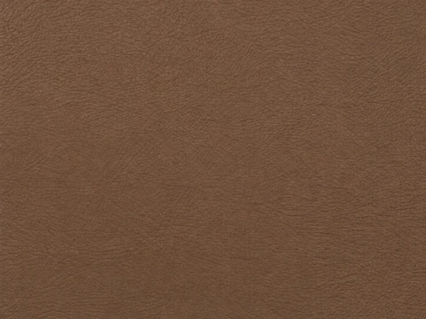 EBV vinyl sample: Nissan E20 Brown