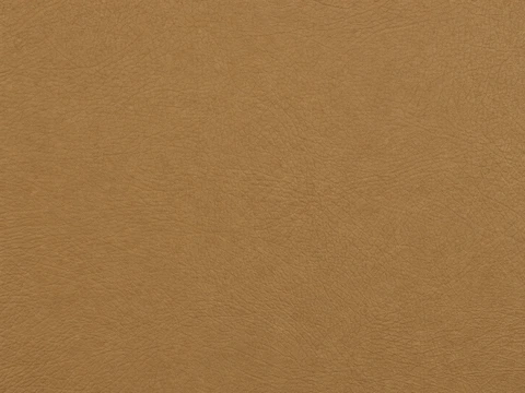 EBV vinyl sample: Mercedes Tan