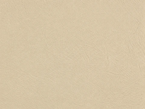 EBV vinyl sample: Beige