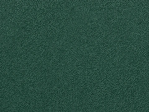 EBV vinyl sample: Emerald Green