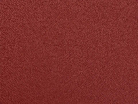 EBV vinyl sample: Oxblood Rough