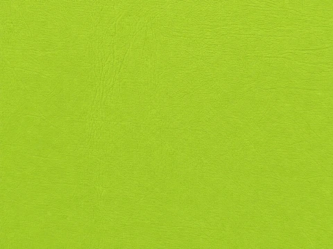 EBV vinyl sample: Lime Green Smooth