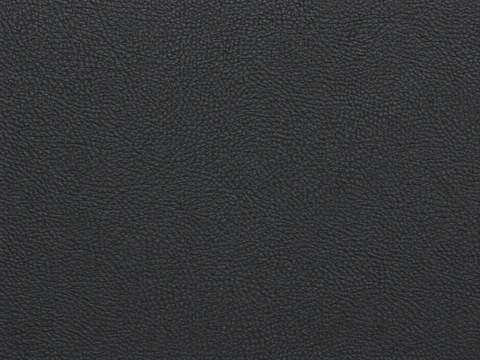 EBV vinyl sample: BMW Black