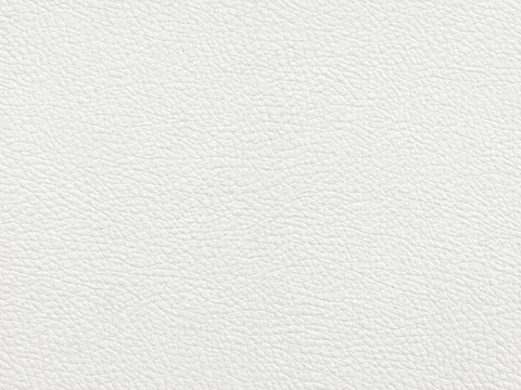 LeMans NH vinyl sample: White