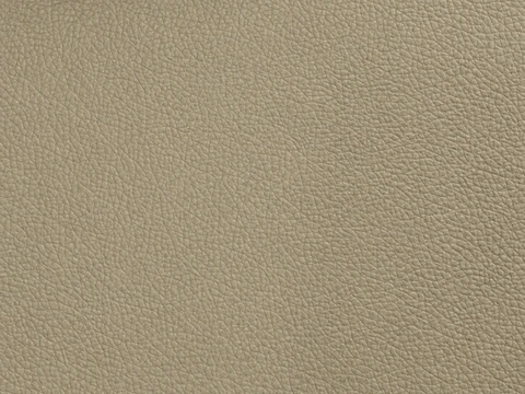 LeMans NH vinyl sample: Beige