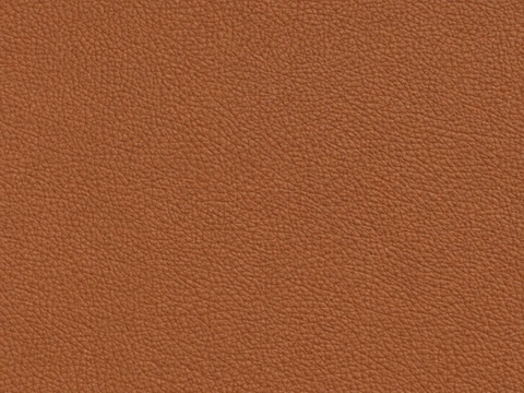 LeMans NH vinyl sample: Tan