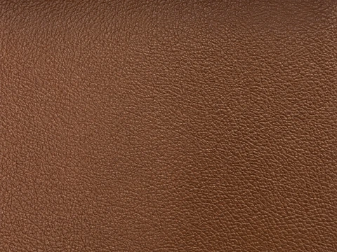 LeMans NH vinyl sample: 2 tone Tan