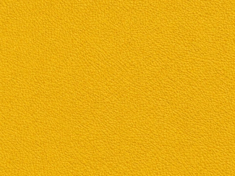 LeMans NH vinyl colour illustration: Yellow