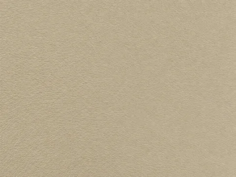 TS BMW vinyl in Beige: colour and grain detail