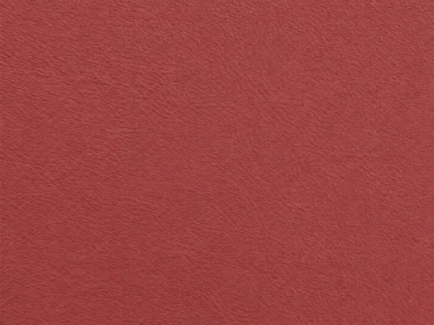 TS BMW vinyl in Oxblood: colour and grain detail