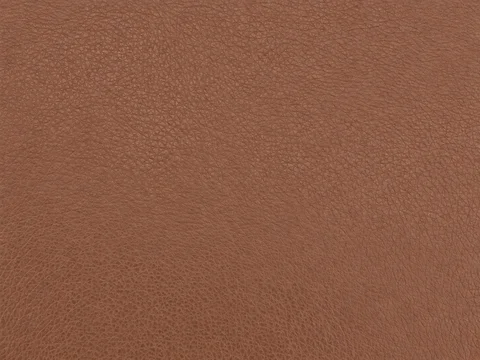 TS BMW vinyl in Tan: colour and grain detail
