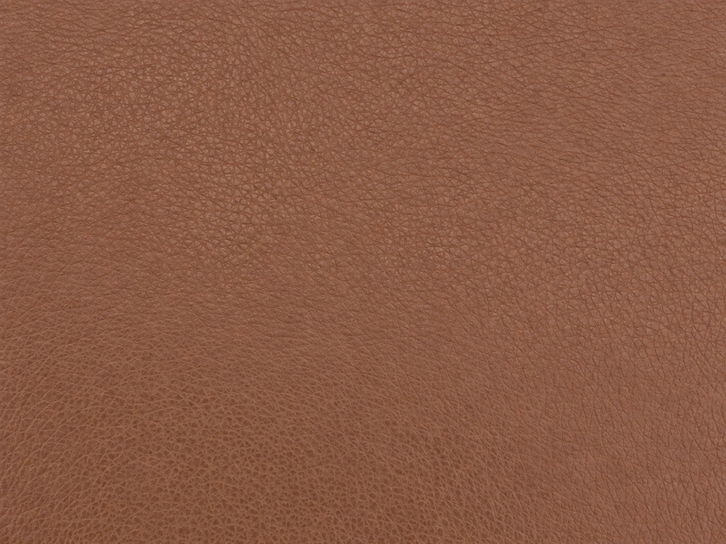 TS BMW vinyl in Tan: colour and grain detail