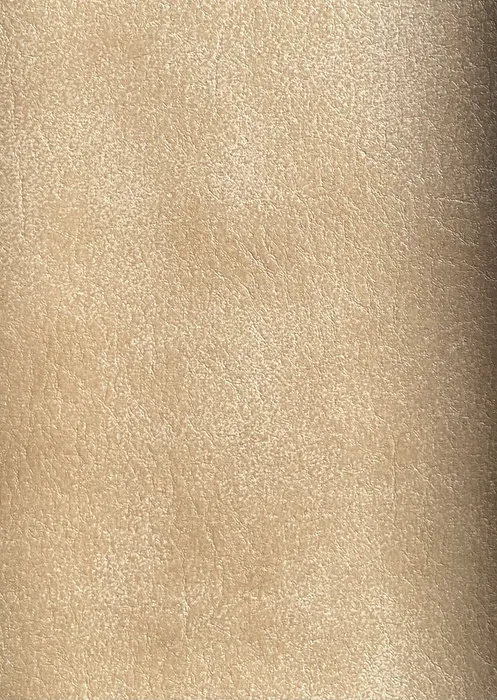 Ergo: Ergo 501 Beige