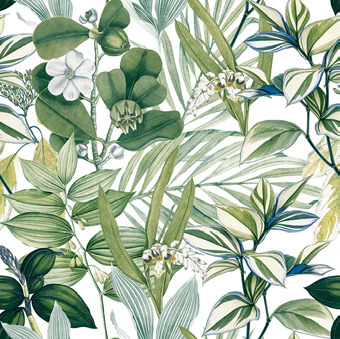 Solara: Botany Blue