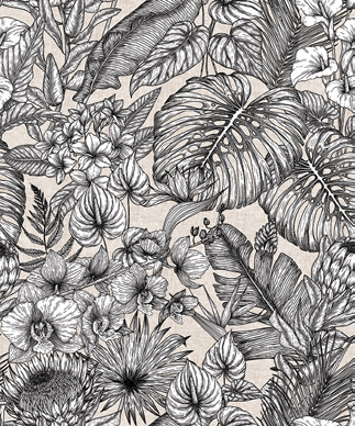 Solara: Etchleaf Black