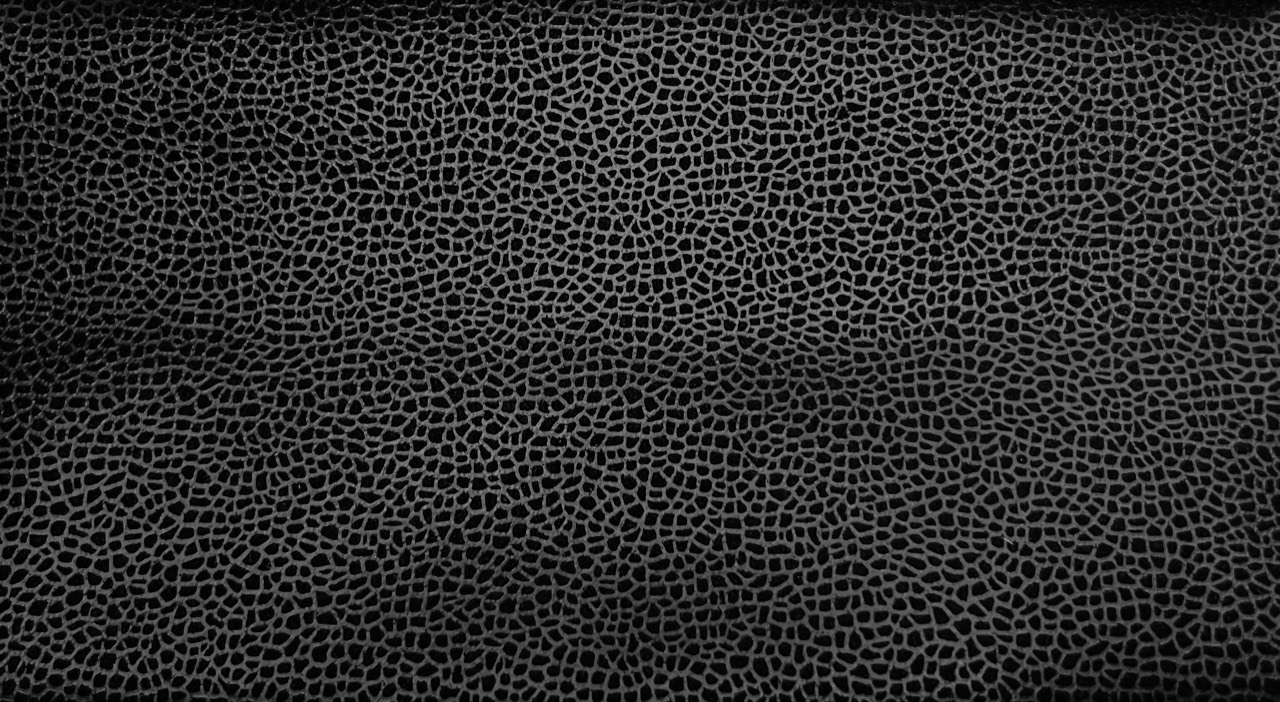 Zambezi: Onyx